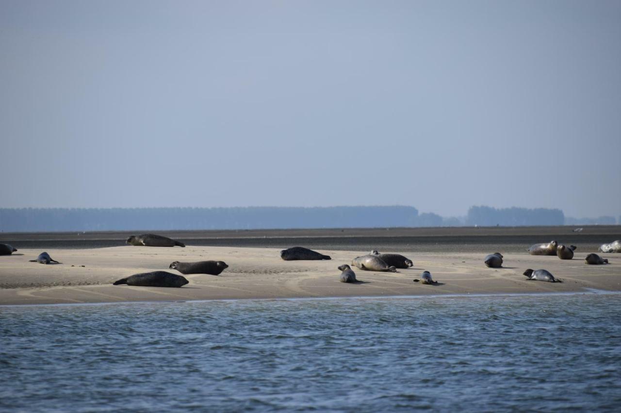 Camping Scheldeoord Baarland Exterior foto